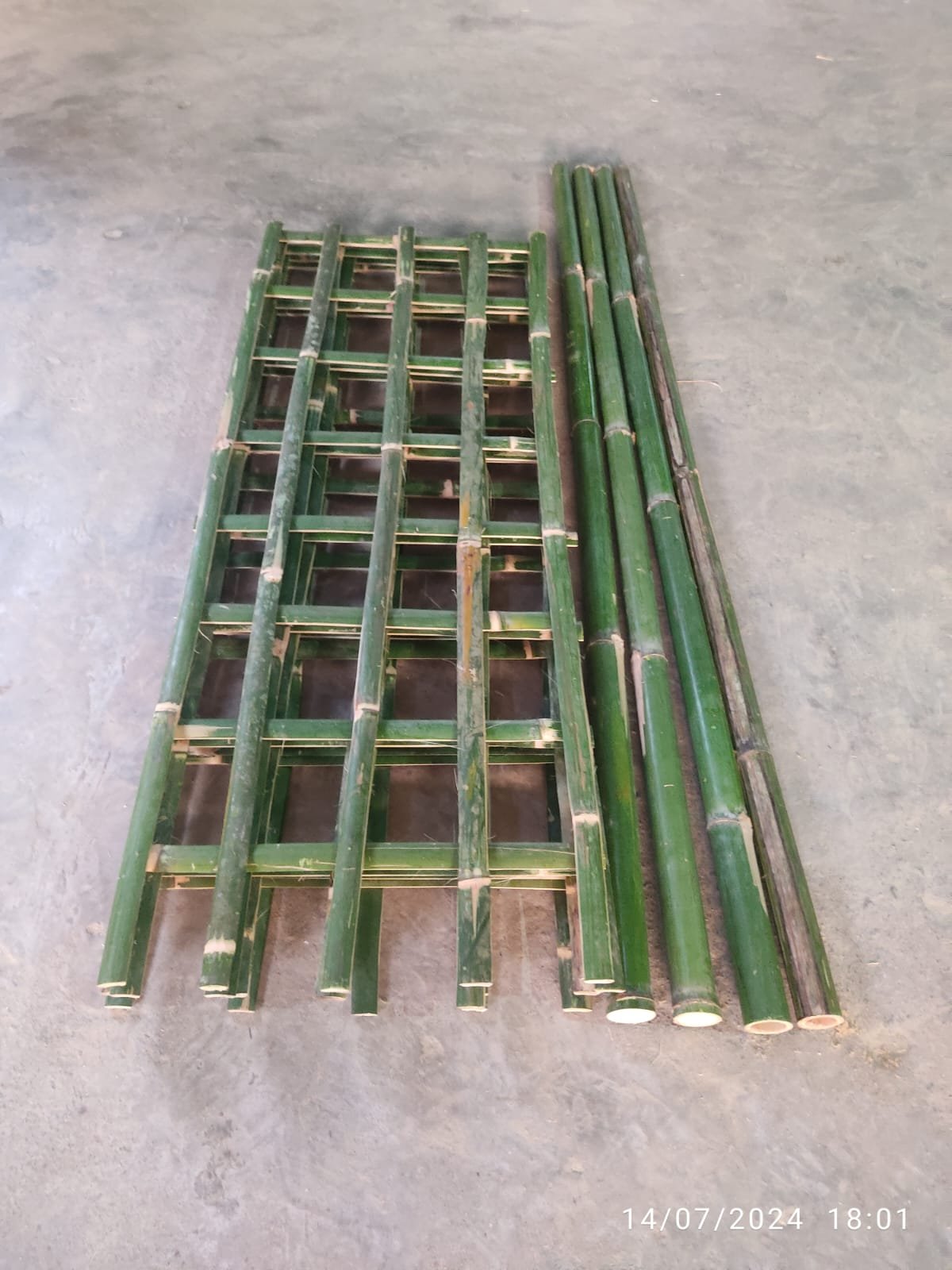 18.Bamboo Tree Guard SetNatural