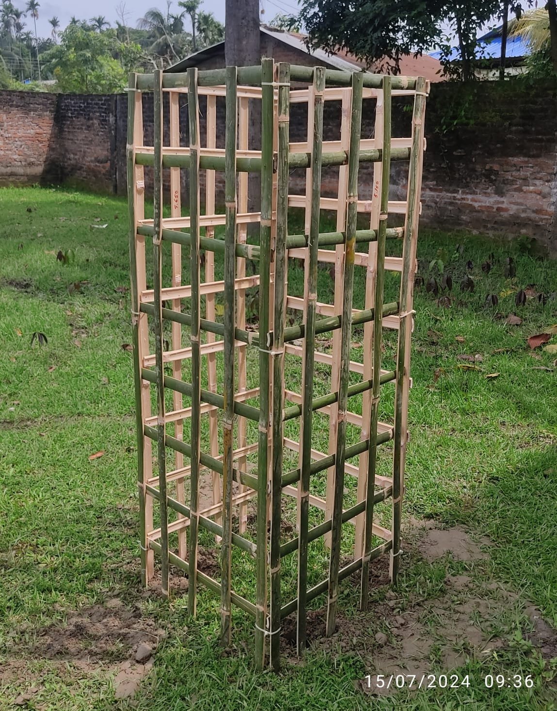 20.Bamboo Tree Guard Natural