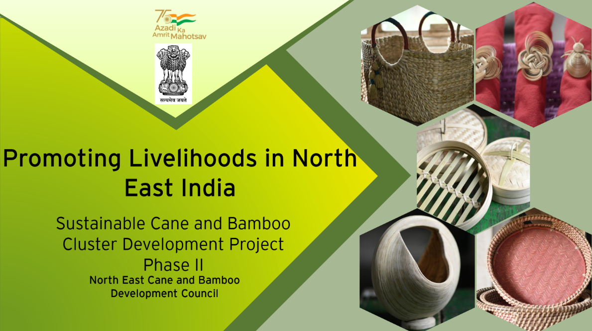 Cane and Bamboo Project